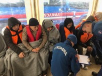 KOORDINAT - Afgan kadın 44 kişinin hayatını kurtardı