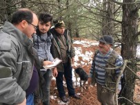 BADEMLI - Afyonkarahisar'da Kaçak Avcılara Ceza Kesildi