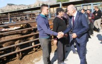 Kuyucak'ta Genç Çiftçilere Damızlık Hayvanları Teslim Edildi