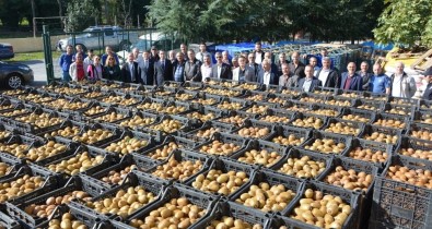19 Mayıs'ta Kivi Hasadı