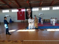 MUSTAFA AKıN - Aydıntepe' De 'Siyah Kuşak Takma' Töreni Düzenlendi