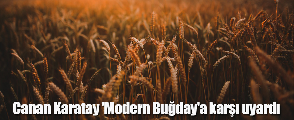 Canan Karatay 'Modern Buğday'a karşı uyardı