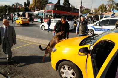 İstanbul'da Kurt Kapanı Uygulamasının 27.'Si Gerçekleştirildi
