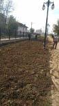 GıRGıR - Melensu Parkta Çimleme Çalışmaları Başladı