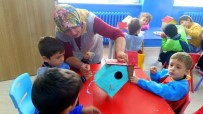 KUŞ YUVASI - Minik Elleriyle, Kuşlar İçin Ağaçlara Yuva Yaptılar