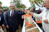 Ordu'da 'Kivi Hasat Şenliği'