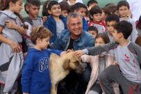 SOKAK KÖPEĞİ - Belediye Başkanı, MAYDER Üyeleriyle Birlikte Hayvan Barınağında Temizlik Yaptı