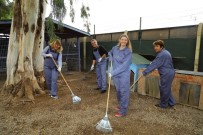 ŞÜKRÜ SÖZEN - Hayvan Barınağında Duyarlı Etkinlik