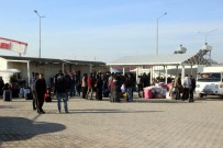 SINIR KAPISI - Suriyeliler Halay Çekerek Ülkelerine Gitti