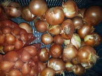 FİYAT ARTIŞI - Ziraat Odasından Soğan Stokçularına Uyarı