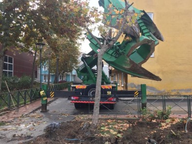 Gemlik'te 'Yeşil' Transferi Sürüyor