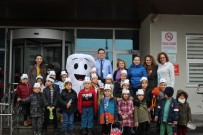 DİŞ SAĞLIĞI - Anaokulu Öğrencileri Diş Sağlığını Yerinde Öğrendi