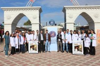 DIŞ MACUNU - Dünya Diş Hekimliği Günü Kutlandı