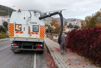ALTıNKUM - Eğirdir'de Sonbahar Temizliği