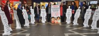 KAYIT DIŞI İSTİHDAM - Erzurum Barosu'ndan Kadına Yönelik Şiddete Karşı Açıklama