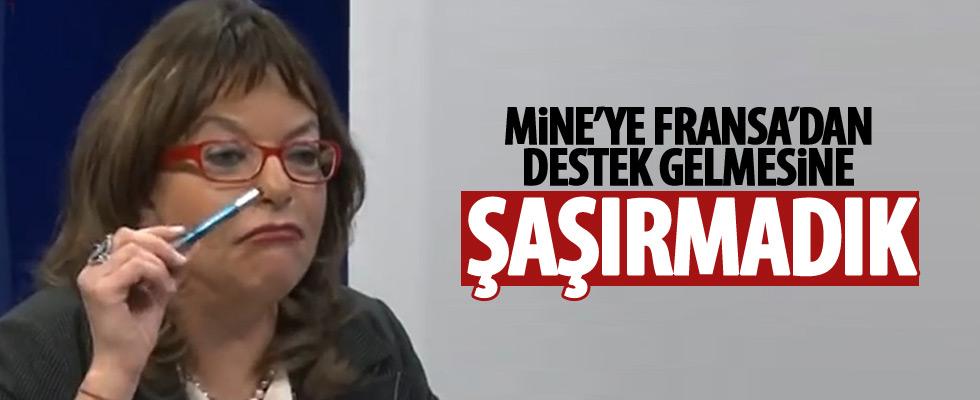 Mine Kırıkkanat'a Fransa'dan destek
