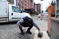 MAMAK BELEDIYESI - Yaralı Kedi Kurtarıldı