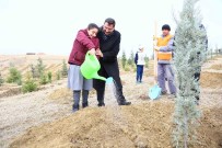 KEÇİÖREN BELEDİYESİ - 5 Bin Fidan Toprakla Buluşturuldu