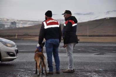 Kars'ta, 30 Ayrı Noktada Asayiş Uygulaması