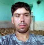 DEMIRCILIK - Kimyasaldan Etkilenen Oğul Öldü, Baba Son Anda Kurtarıldı