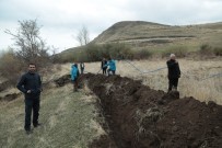 AKDAMAR ADASı - Akdamar Adası'na Tatlı Su Verilmesi Göçü Tersine Çevirdi