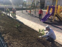 KARAKÖY - Parklarda Sona Gelindi