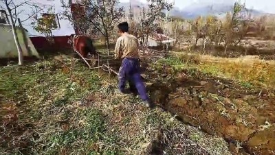 Ailesinin Ekmeğini 'Kara Saban' İle Çıkarıyor