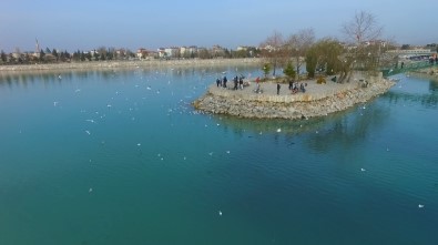 Beyşehir'de 'Milli Park' Sınır Değişikliği