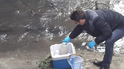 Çorlu Deresi'nden Alınan Numune İnceleniyor