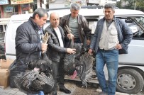 Hindi Satışları Artmaya Başladı