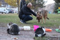 Mesaiden Çıkıyor Sokak Hayvanlarına Koşuyor