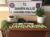 ÇAYBAŞıYENIKÖY - Sakarya'da Uyuşturucu Operasyonu Açıklaması 3 Gözaltı