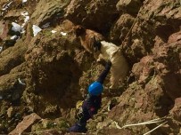 KURTARMA OPERASYONU - Van'da Keçi Kurtarma Operasyonu