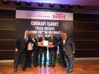 AHMET SALIH DAL - 'Cennet Çamuru ' Tanıtımına Yoğun İlgi