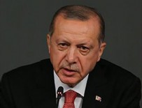 VLADİMİR PUTİN - Erdoğan, Putin ve Poroşenko ile görüştü