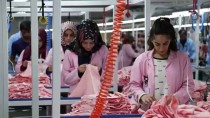 SİGORTA PRİMİ - Memleketine Kurduğu Fabrikayla Kadın İstihdamına Katkı Sağlıyor