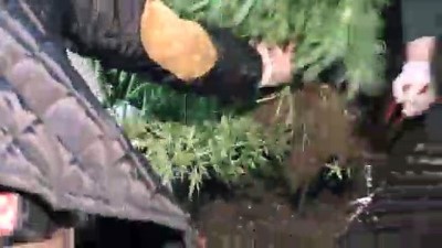 Muğla'da Villaya Uyuşturucu Operasyonu