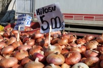 VATAN HAINI - Soğan Göz Değil, Cep Yakmaya Devam Ediyor