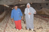 Beyaz Etteki Risk Kapıda