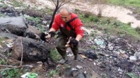 YAVRU KÖPEK - Mahsur Kalan Yavru Köpekleri İtfaiye Ekipleri Kurtardı