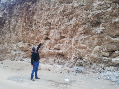 Mardin'de Dinozor Fosili Bulunduğu İddiası