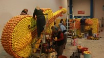 ÖZEL TASARIM - 6. Uluslararası Mersin Narenciye Festivali Hazırlıkları Başladı
