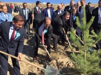 FETANI BATTAL - Demirözü Barajı Etrafında Ağaç Dikim Seferberliği