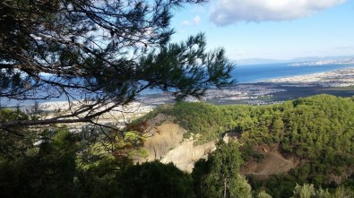Güzelçamlı'daki Taş Ocağında Tepkiler Üzerine Faaliyet Durduruldu