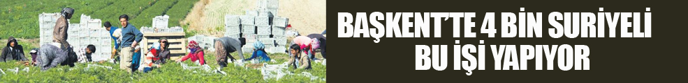 Başkent'te 4 bin Suriyeli havuç söküyor