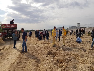 Üniversiteli Öğrenciler Fidanları Toprakla Buluşturdu