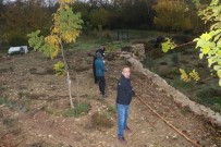 Ekipler Yaralı Domuz İçin Seferber Oldu