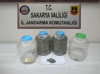 ALTıNDERE - Narkotik Köpeği Rüzgar Zulalanmış Uyuşturucuları Buldu; 3 Gözaltı