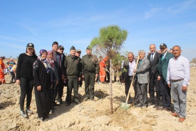 Manavgat'ta Şehit Cumali Gür Hatıra Ormanı Oluşturuldu