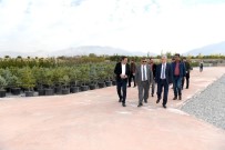 UĞUR POLAT - Park Bahçeler Daire Başkanlığı Yeni Yerinde Hizmet Verecek